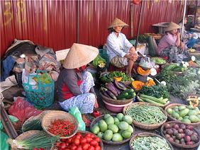 Cooking in Hoi An Cooking in Hoi An